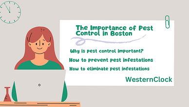 The Importance of Pest Control in Boston