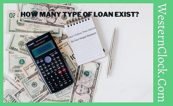 How many type of loan