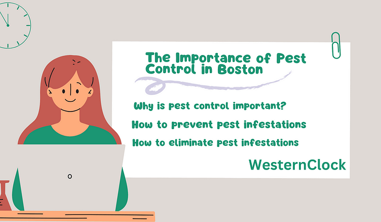 The Importance of Pest Control in Boston